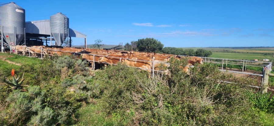 8 Bedroom Property for Sale in Mossel Bay Rural Western Cape